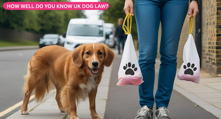 UK Dog Law – How well do you know it?