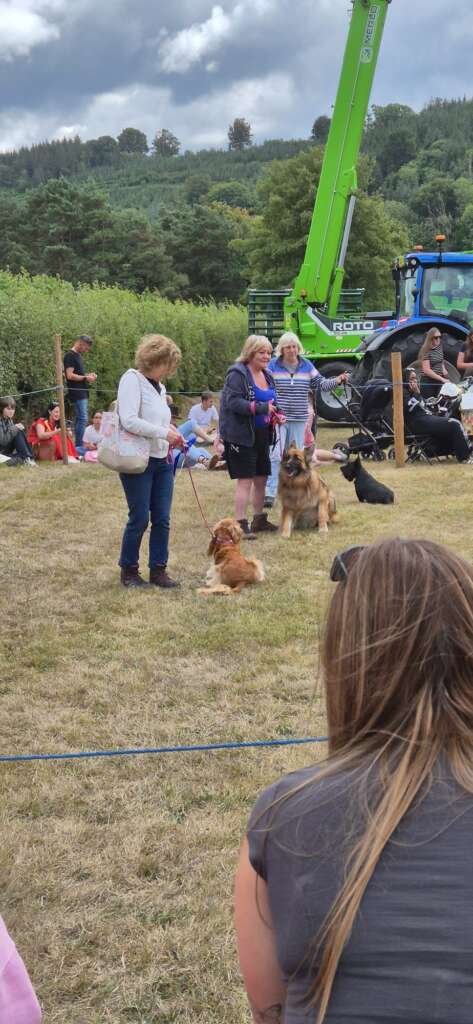 Proud sponsors of the Exemption and Novelty Dog Competition Brecon Show 2025.