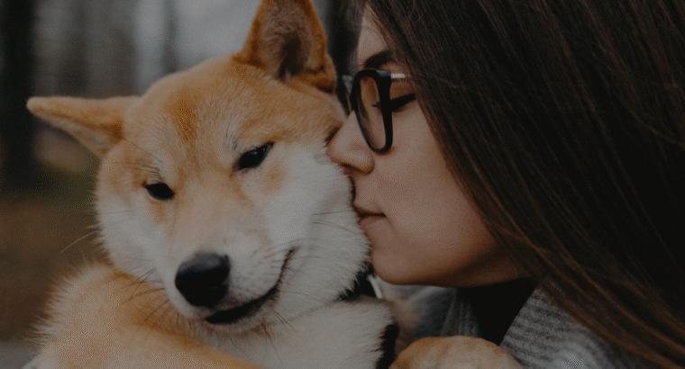 Volunteer pet transporter – know the rules