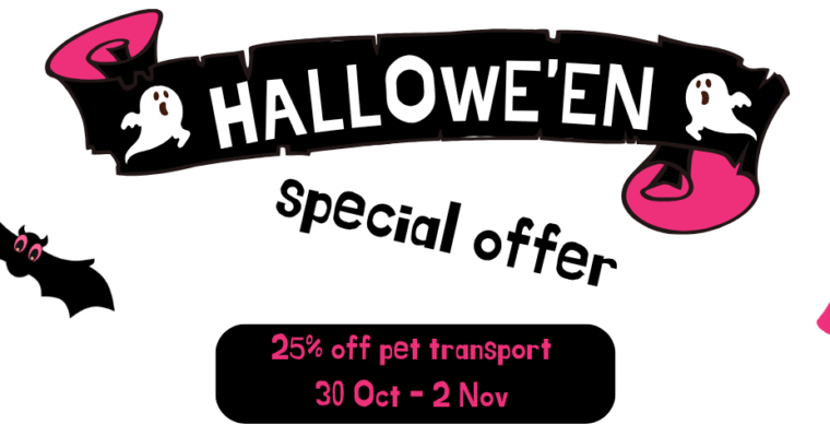 Pet transport Halloween offer