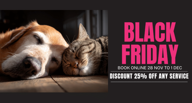 Black Friday Weekend Discount Special