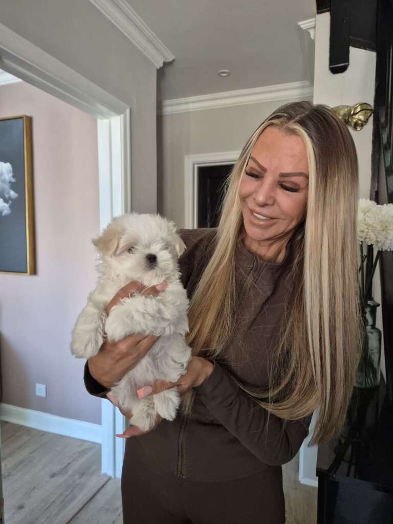 A Maltese puppy ready for her journey to meet her new dog mum. This is a photo of her with the breeder before we put her in the van.