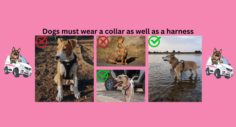 UK Dog Collar Law: Why a Harness Won’t Save You From a £5,000 Fine