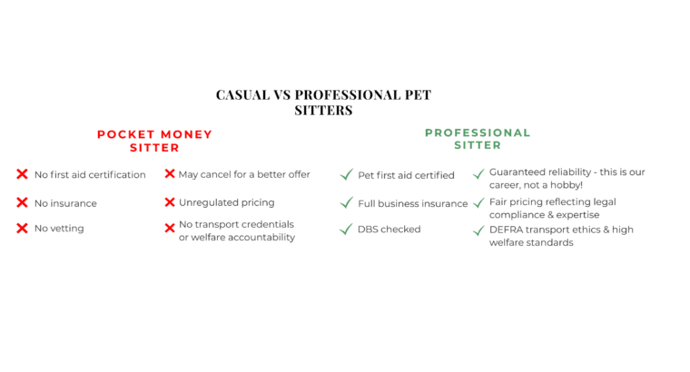 The Real Cost of Pet Sitting: Why ‘Cheap’ Pet Sitting Costs More Than You Think