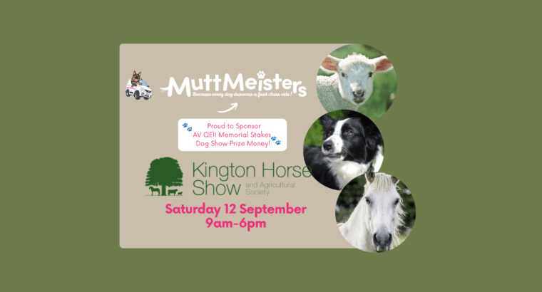 MuttMeisters Proudly Sponsors the QEII Memorial Stakes at Kington Show 2026!